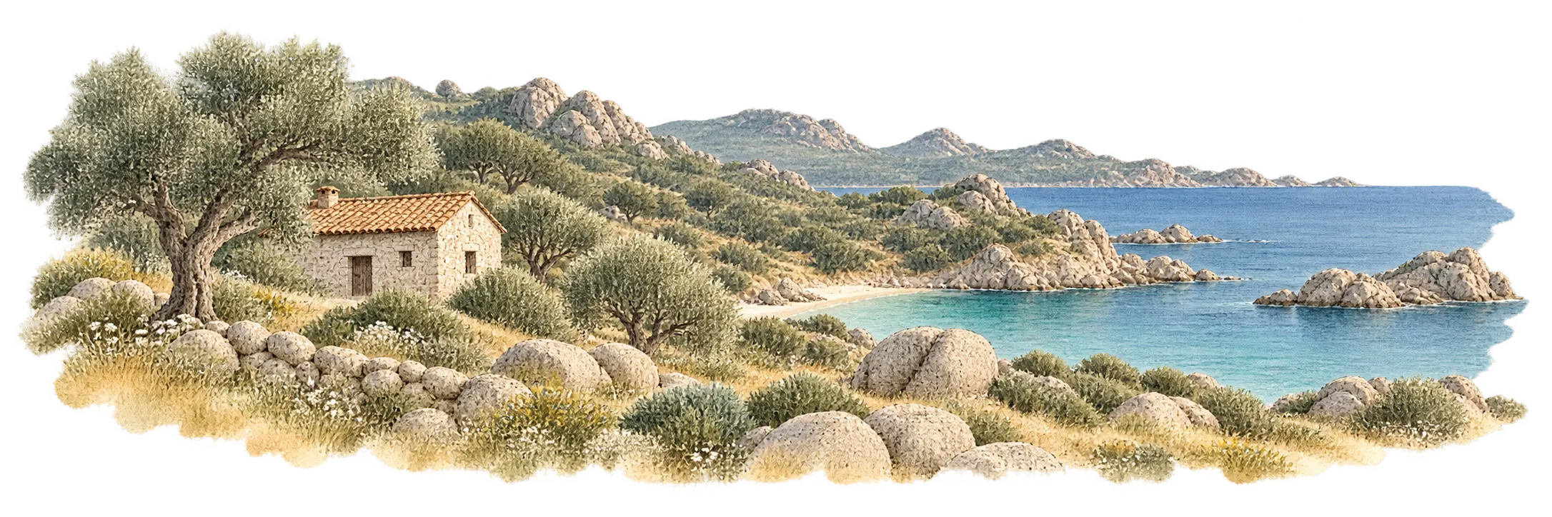 Uno stazzo tra gli olivi, il granito e il mare della Gallura